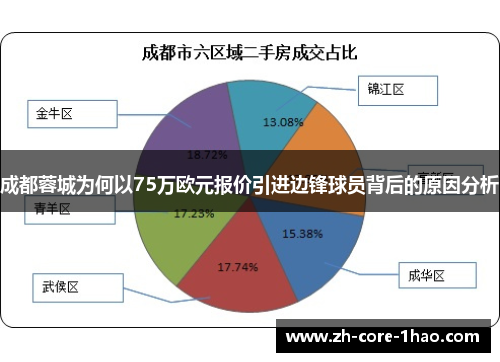 成都蓉城为何以75万欧元报价引进边锋球员背后的原因分析